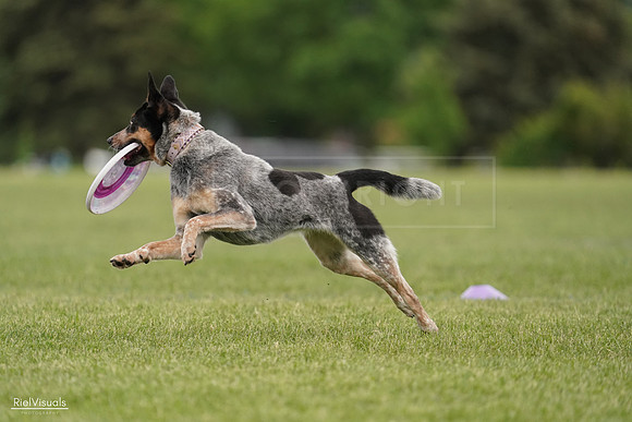RielVisuals_20240526_133544_SJR08215