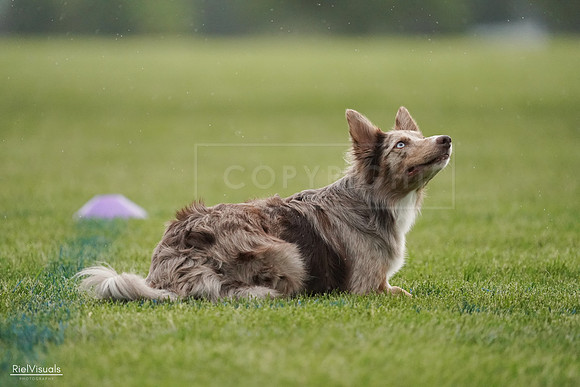 RielVisuals_20240526_092537_SJR09964