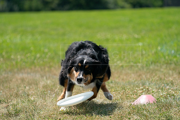RielVisuals_20240728_132146_SJR05930
