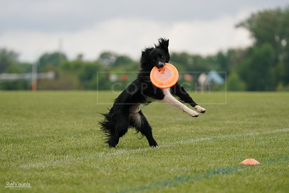 RielVisuals_20240527_131845_SJR09272