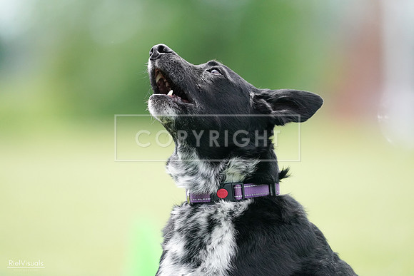 RielVisuals_20240525_124736_SJR01177