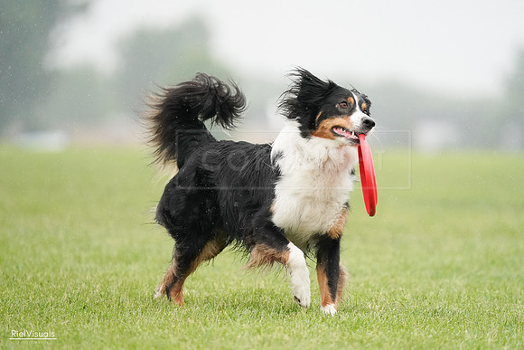 RielVisuals_20240527_104705_SJR01625