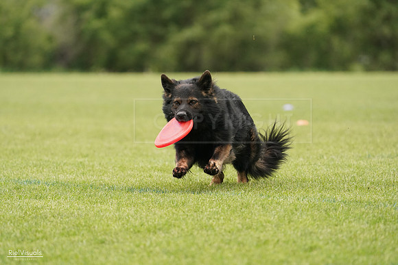 RielVisuals_20240527_132944_SJR00022