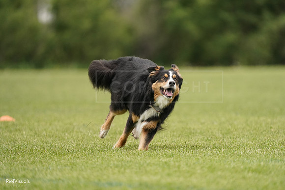 RielVisuals_20240527_133228_SJR00169