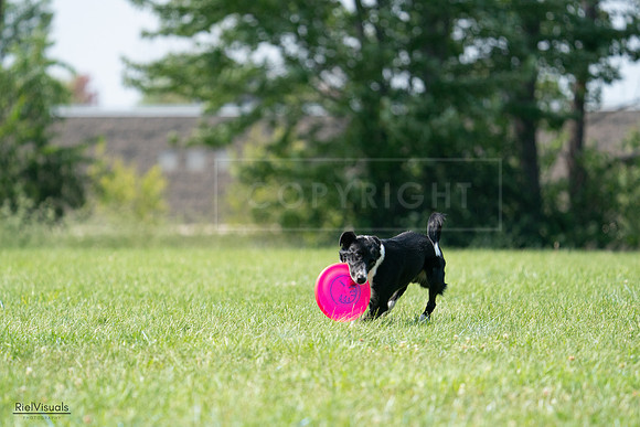 RielVisuals_20240728_144032_SJR08881