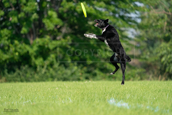 RielVisuals_20240727_094411_SJR07400