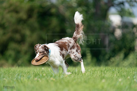 RielVisuals_20240727_115009_SJR04047