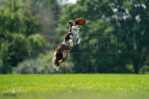 RielVisuals_20240727_130400_SJR06719