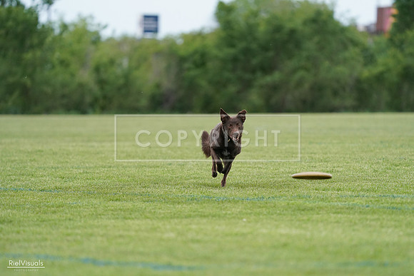 RielVisuals_20240525_162108_SJR04207