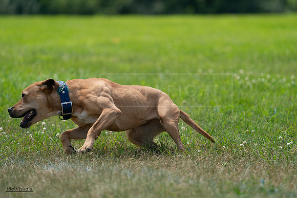 RielVisuals_20240728_131337_SJR05473