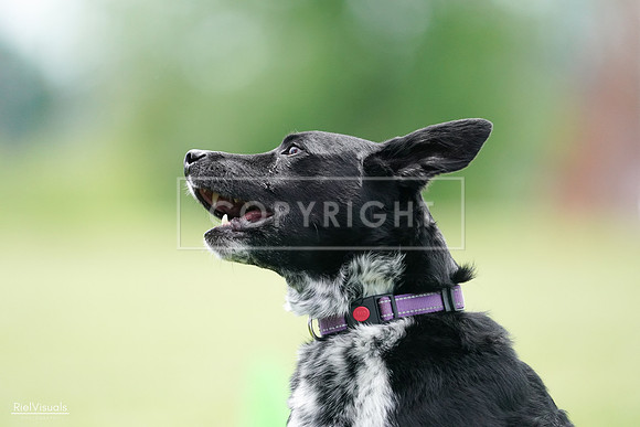 RielVisuals_20240525_124737_SJR01178
