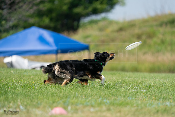 RielVisuals_20240727_135904_SJR09163