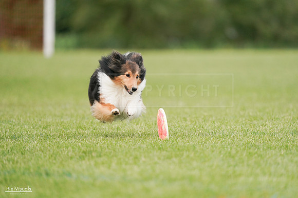 RielVisuals_20240527_140947_SJR01705