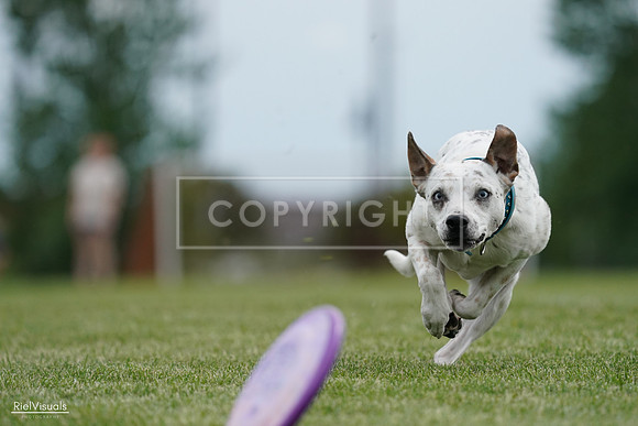 RielVisuals_20240525_160430_SJR03411