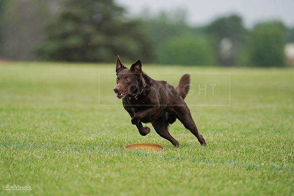 RielVisuals_20240527_090726_SJR05959
