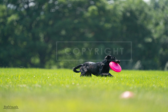 RielVisuals_20240727_130954_SJR07014