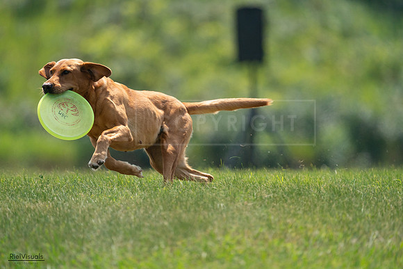 RielVisuals_20240727_122425_SJR05502