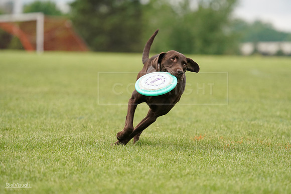 RielVisuals_20240527_132602_SJR09793