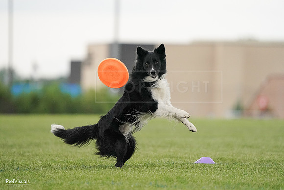 RielVisuals_20240526_095518_SJR01389
