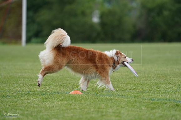 RielVisuals_20240526_101842_SJR09002