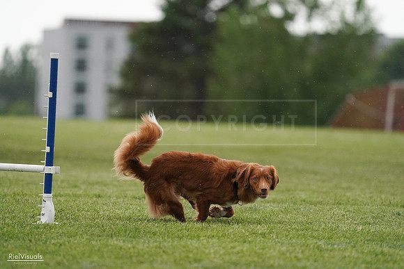 RielVisuals_20240526_093040_SJR00230