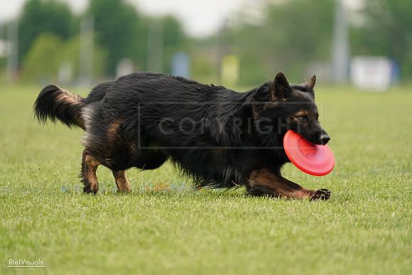 RielVisuals_20240527_132928_SJR09995