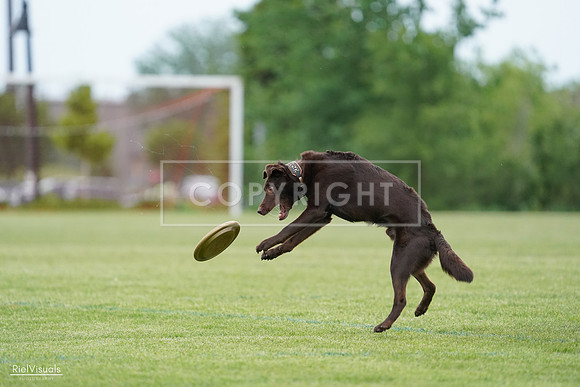 RielVisuals_20240525_162130_SJR04255