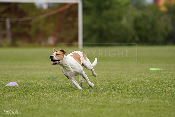 RielVisuals_20240526_134049_SJR08660