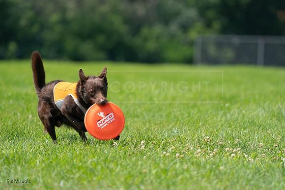 RielVisuals_20240728_114121_SJR01610