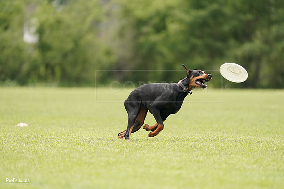 RielVisuals_20240527_134120_SJR00928