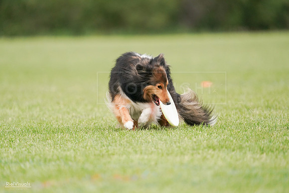 RielVisuals_20240527_140937_SJR01689