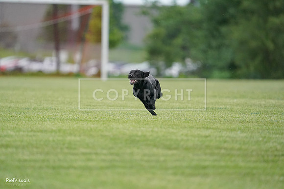 RielVisuals_20240525_163942_SJR05070