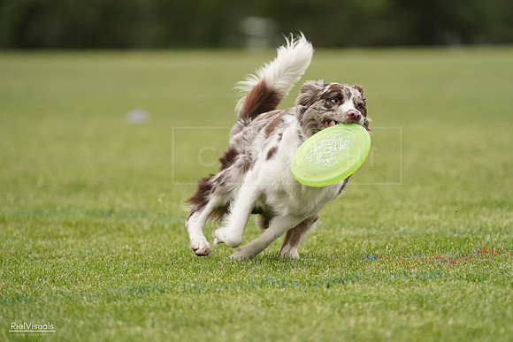 RielVisuals_20240526_132920_SJR07926