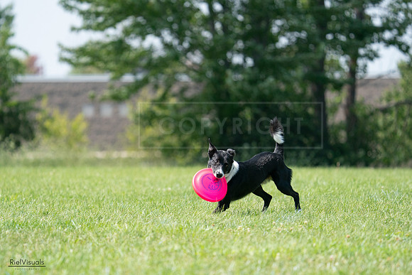RielVisuals_20240728_144032_SJR08880