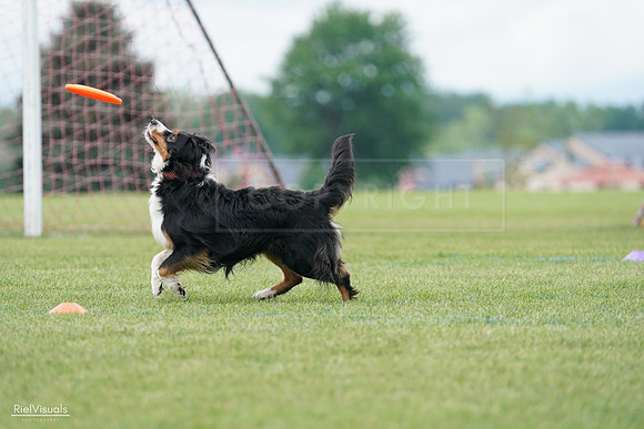 RielVisuals_20240527_142349_SJR02568