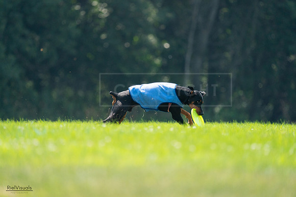 RielVisuals_20240727_122619_SJR05556