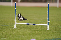 RielVisuals_20240527_142701_SJR02852