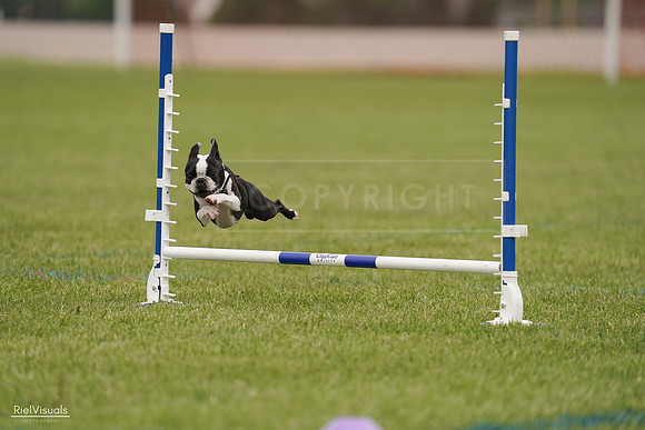 RielVisuals_20240527_142701_SJR02852