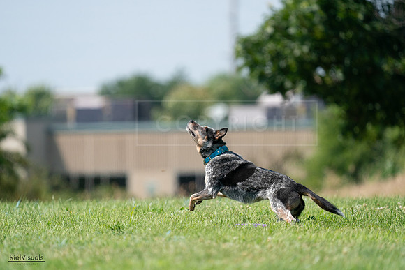 RielVisuals_20240728_145152_SJR09347