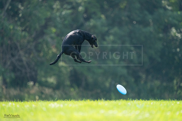 RielVisuals_20240727_122720_SJR05580