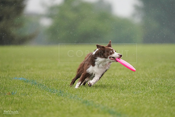 RielVisuals_20240527_104349_SJR01376
