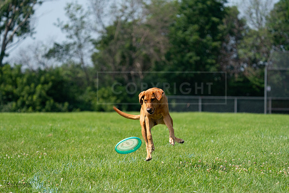 RielVisuals_20240728_103943_SJR08783