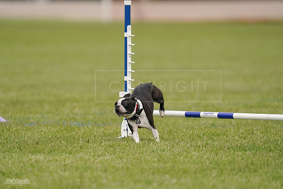 RielVisuals_20240527_142648_SJR02803