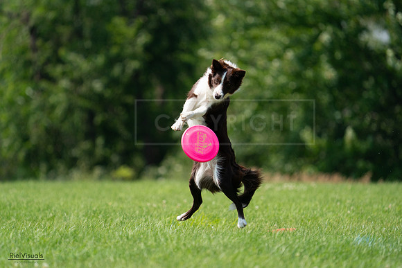 RielVisuals_20240727_140349_SJR09454