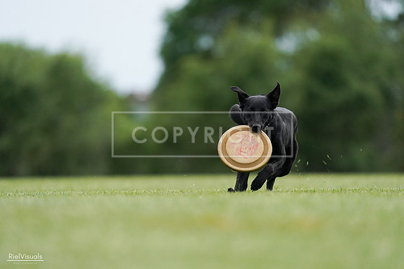RielVisuals_20240525_160641_SJR03463