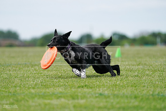 RielVisuals_20240525_124901_SJR01235