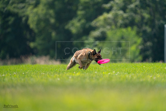 RielVisuals_20240727_131952_SJR07614