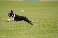 RielVisuals_20240527_142619_SJR02716
