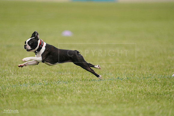 RielVisuals_20240527_142619_SJR02716