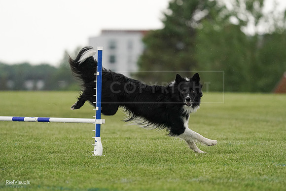 RielVisuals_20240526_095429_SJR01316